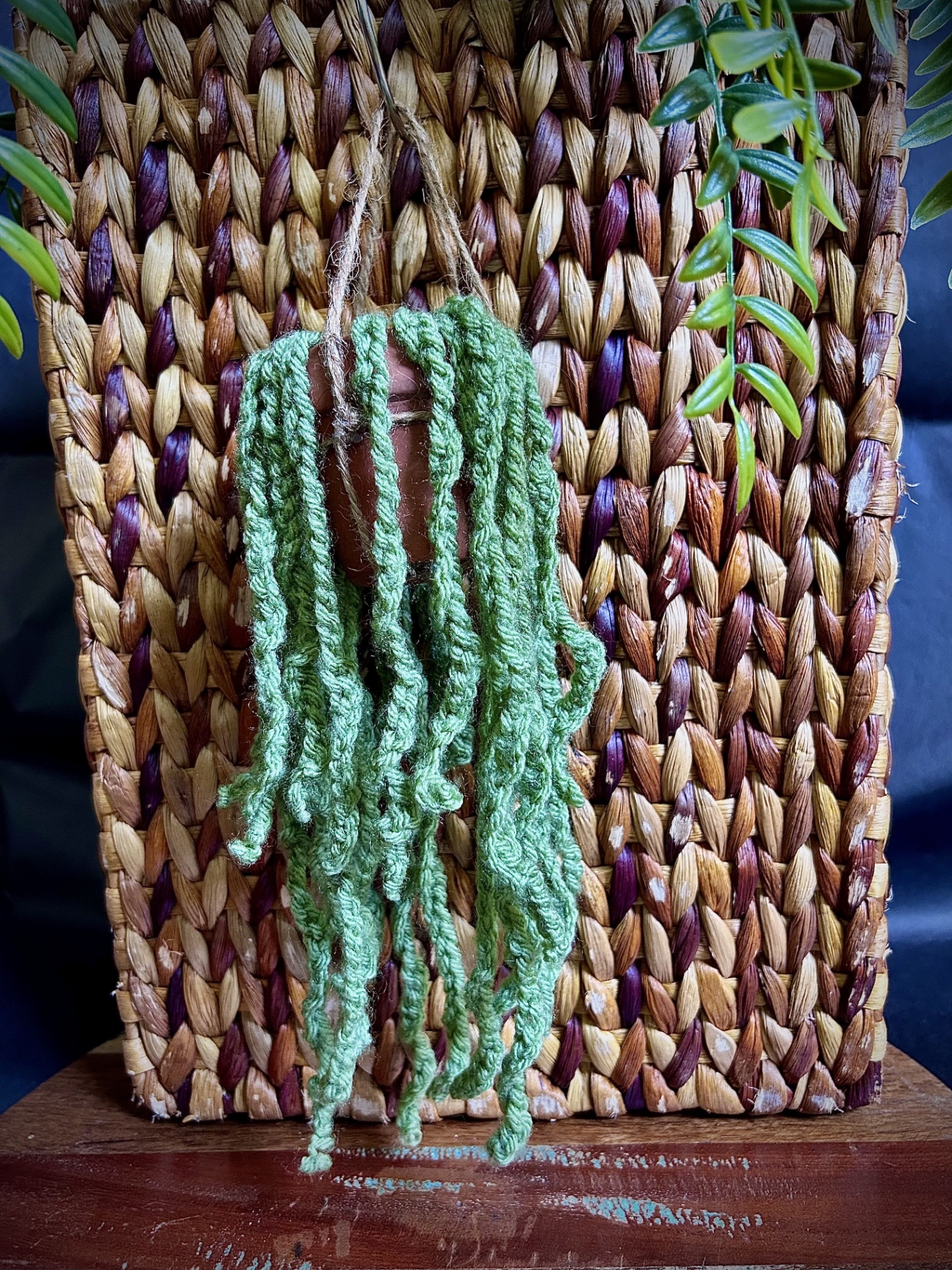 Trailing Hanging Plant