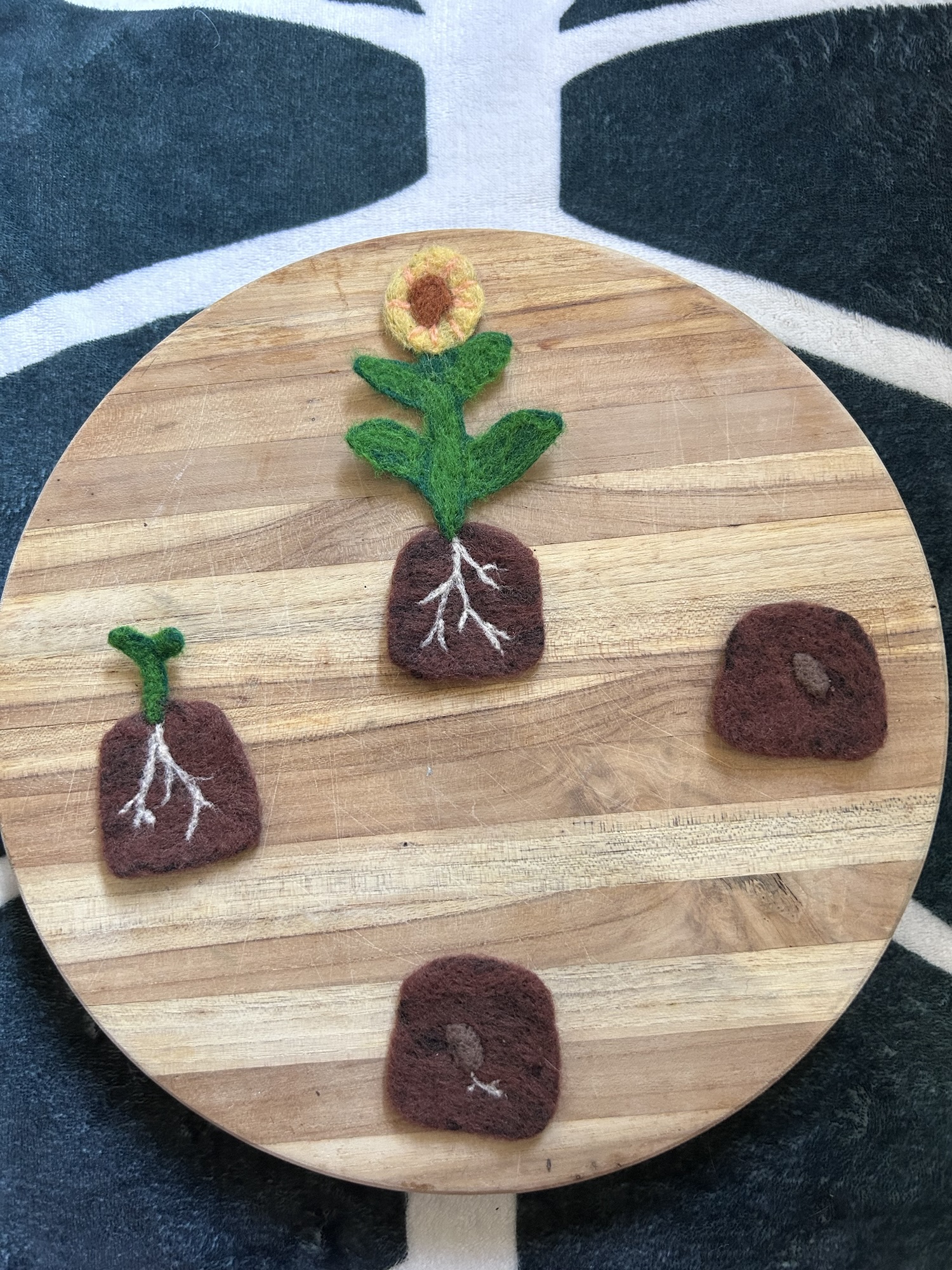 Flower Life Cycle Set — photo 2