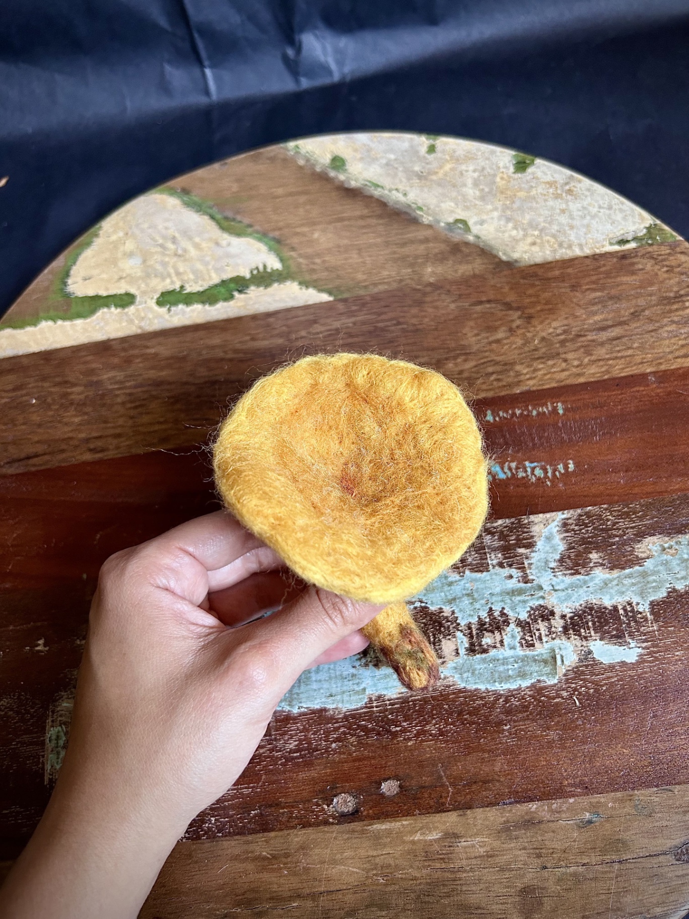 Golden Chanterelle — photo 2