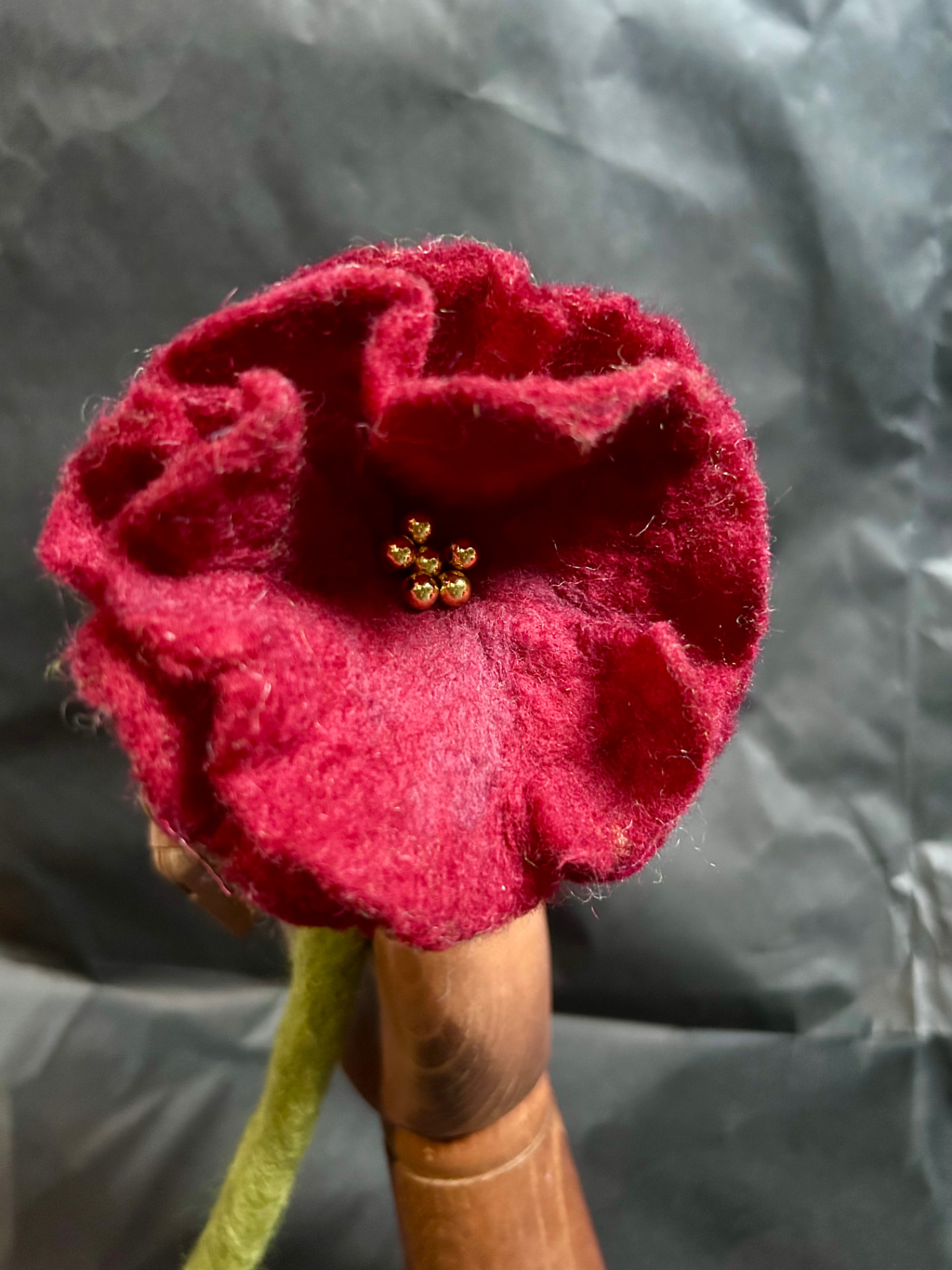 California Poppy Stem — photo 2