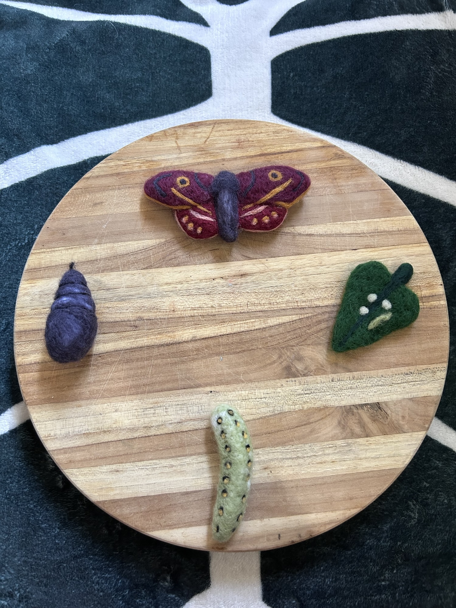 Butterfly Life Cycle Set — photo 2