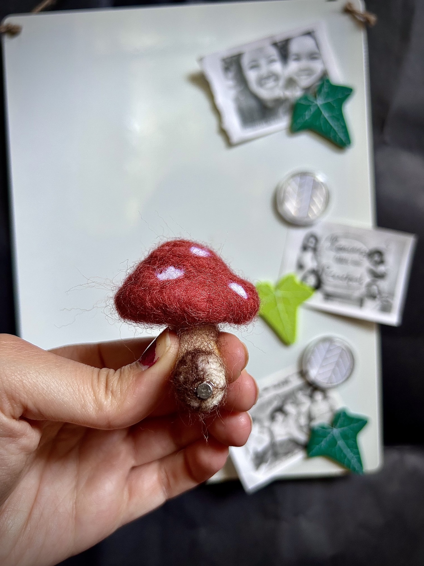 Toadstool Magnet
