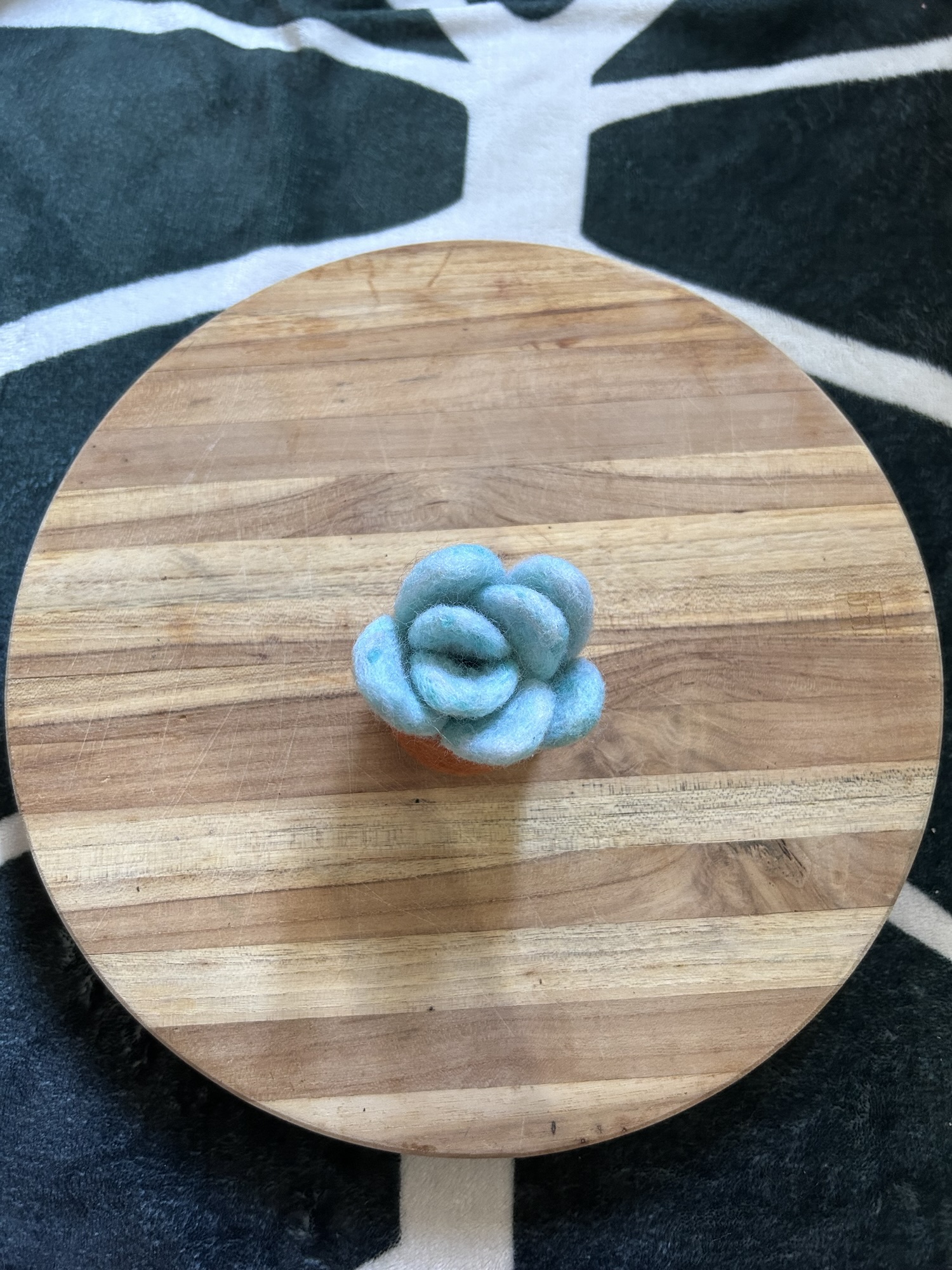 Blue Succulent