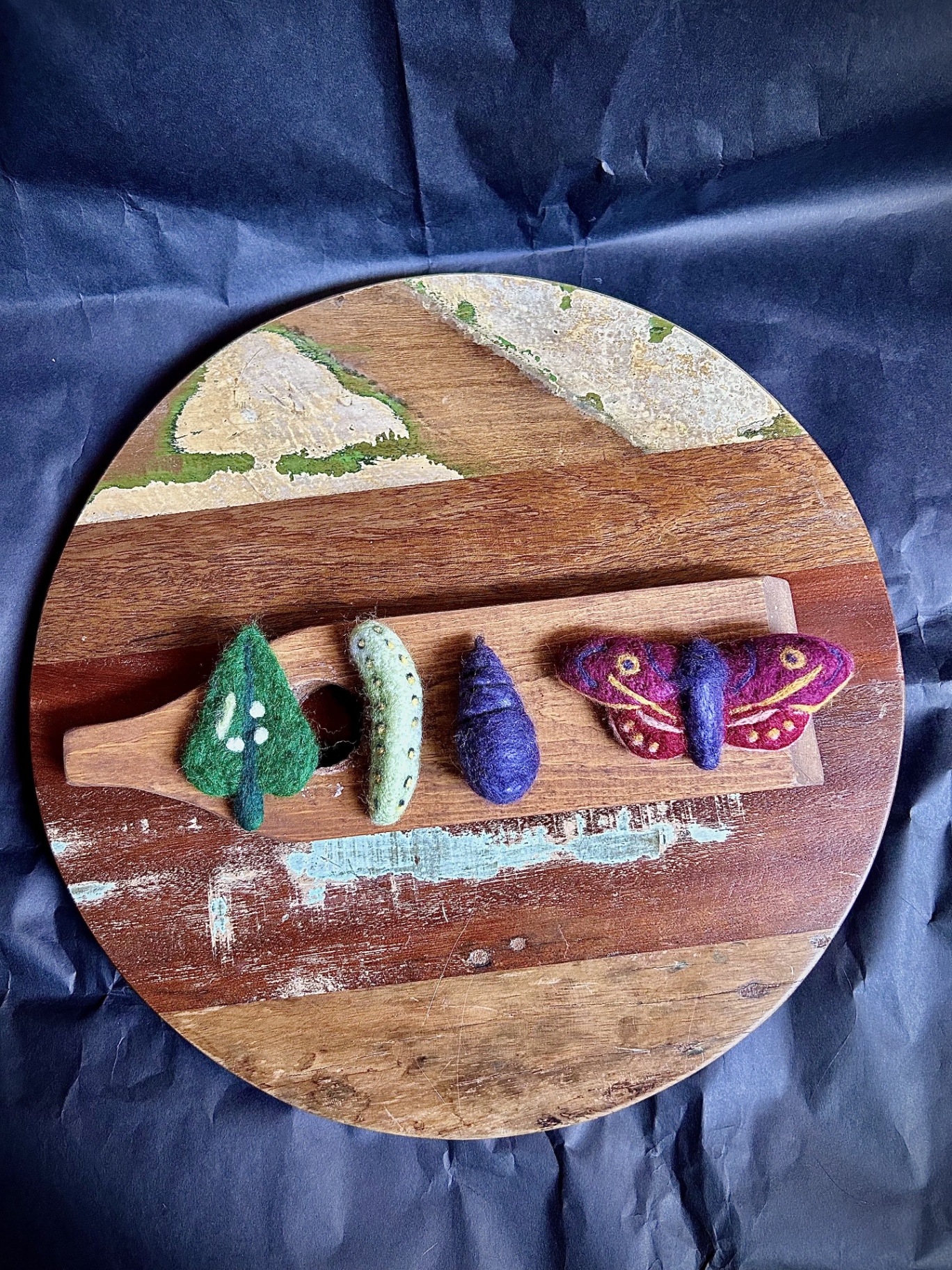 Butterfly Life Cycle Set