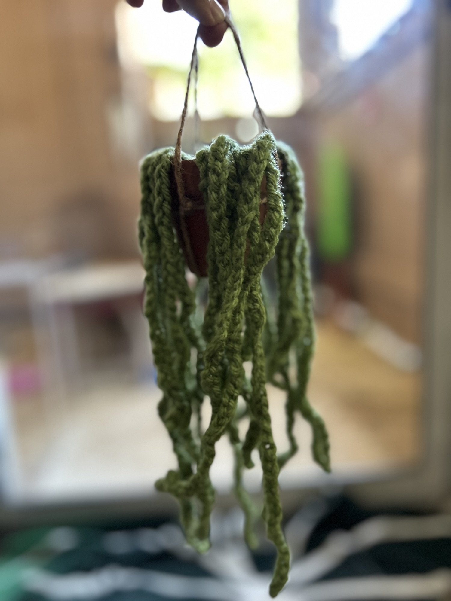 Trailing Hanging Plant — photo 2